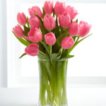 pink tulip glass vase