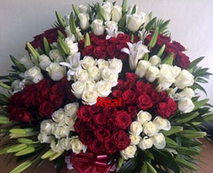  Red white flower basket