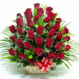 36 red roses in basket