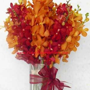 Enchanting Duet - Orange Red Orchids