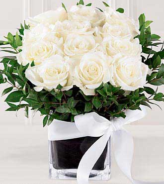 white roses vase