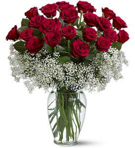 25 Red Rose Vase