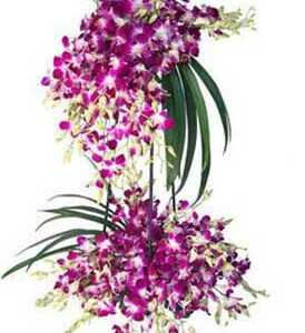 Purple Orchid Stand Arrangement