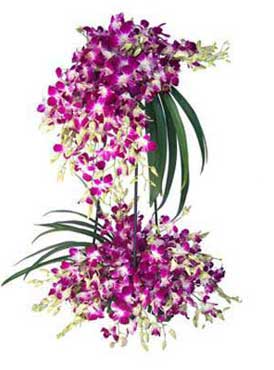Purple Orchid Stand Arrangement