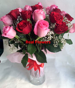 20 Roses Pink Red in a Glass Vase