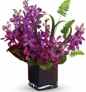 Delivery of Exotic Tropical Purple Mokara Orchids in Dubai