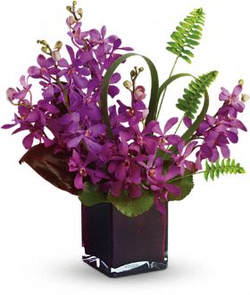 Delivery of Exotic Tropical Purple Mokara Orchids in Dubai
