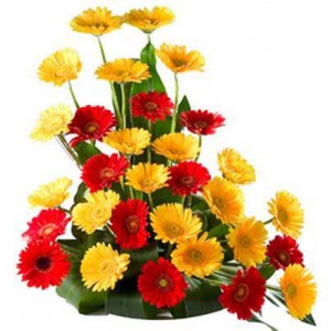 Basket of Fresh Yellow Red Gerbera Flowers Delivery in Dubai