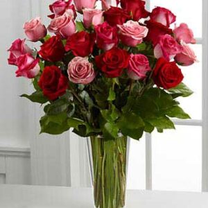 Pink Red Roses in Vase for Delivery in Dubai
