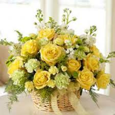 Splendid Dream-flower basket yellow white
