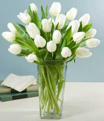 White Tulips vase