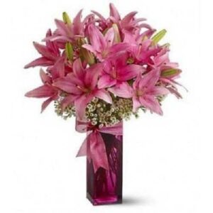 Jovial Lilies - Stargazer Long Stem Pink Oriental Lilies in Vase