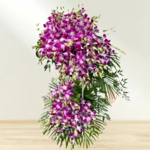 purple orchid stand