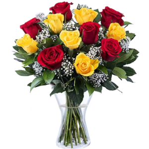 yellow red roses
