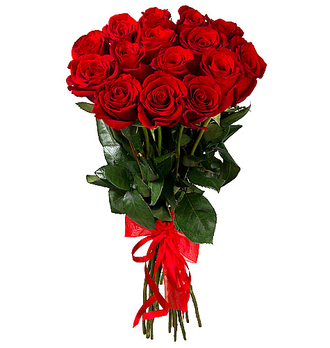 Right Moment - 12 Red Rose Dand Bouquet by Real Flowers