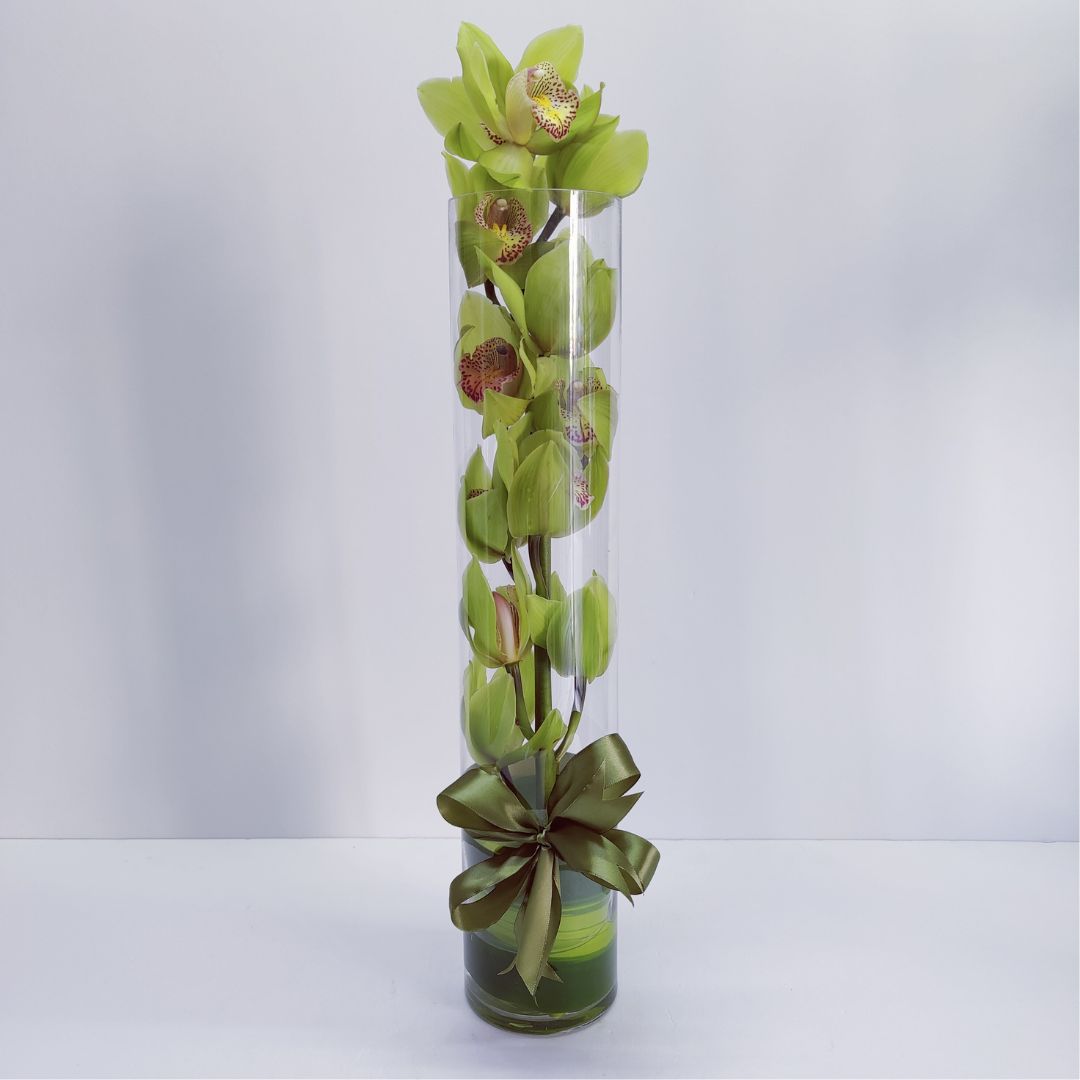 Green Cymbidium Orchid for $54 is in Glass Vase