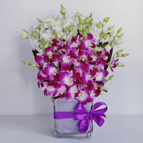 purple white orchid vase