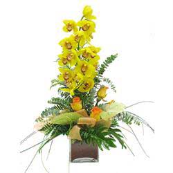 Empowered For Ever - Yellow Cymbidium Orchid in Vase