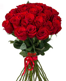 Long Stemmed 20 Red Roses Tied as Hand Bouquet