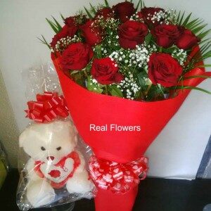 red roses teddy