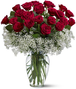 24 red roses vase