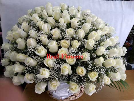 100 white roses basket