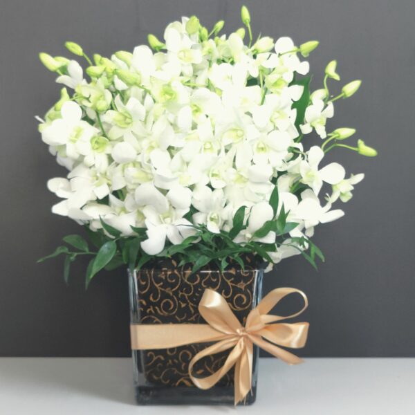 white orchids for quick delivery in Dubai