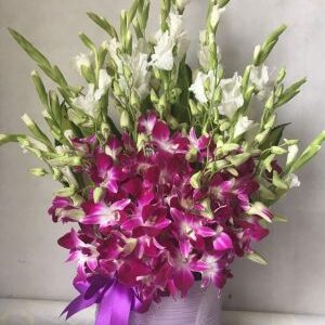 Purple Orchid Flower Box delivery in Dubai|Sharjah|Ajman