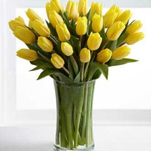 Yellow Tulip vase