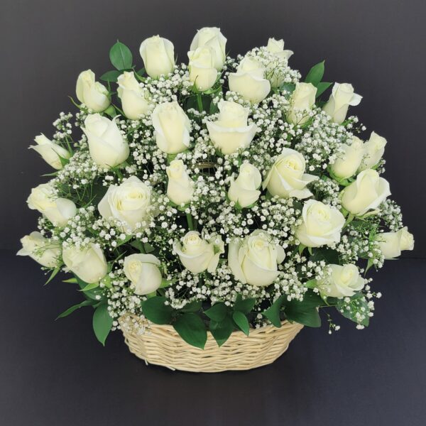 25 white roses basket