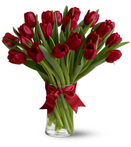 Red Tulip Flower Vase