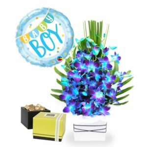 Baby Boy Orchids Chocolates and Balloon Gift