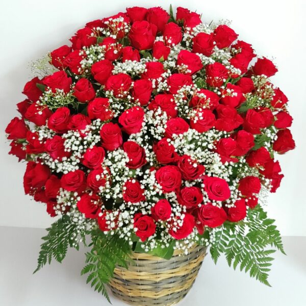 100 Red Roses Basket Delivery | Dazzling Blossom