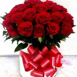 24 red roses box