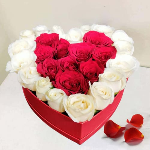 30 red white roses box